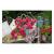 Картина по номерам красками на картоне А3 "Красивые розовые цветы" РЫЖИЙ КОТ Р-2301 (182188)