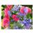 Картина по номерам красками на картоне А4 "Весенние цветы" РЫЖИЙ КОТ Р-2436 (182199)