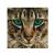 Картина по номерам мозаикой на холсте 30*30 "Бенгальская кошка" MOLLY КМ0671 (182820)