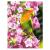Картина по номерам красками на картоне 30*40 "Весенний попугайчик" LORI Кпн-014 (187744)